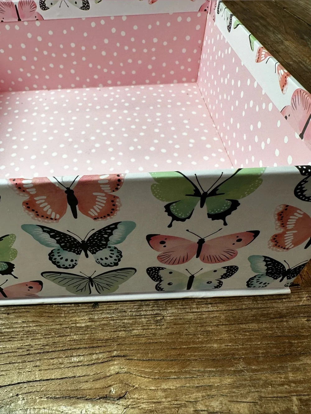 Butterfly Canvas Storage Box Set - Mint Green & Coral